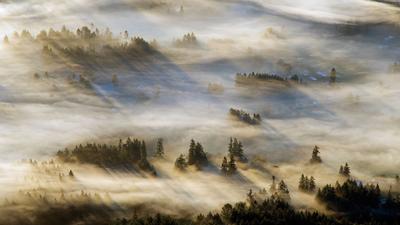 薄雾笼罩  |  考伊琴山谷的薄雾，温哥华岛，加拿大不列颠哥伦比亚省 (© Kevin Oke/Alamy) - 2024/02/25